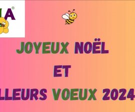 Joyeuses fêtes